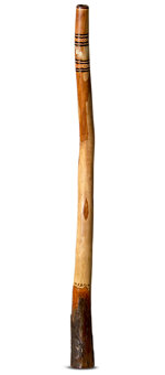 Kristian Benton Didgeridoo (KB310)